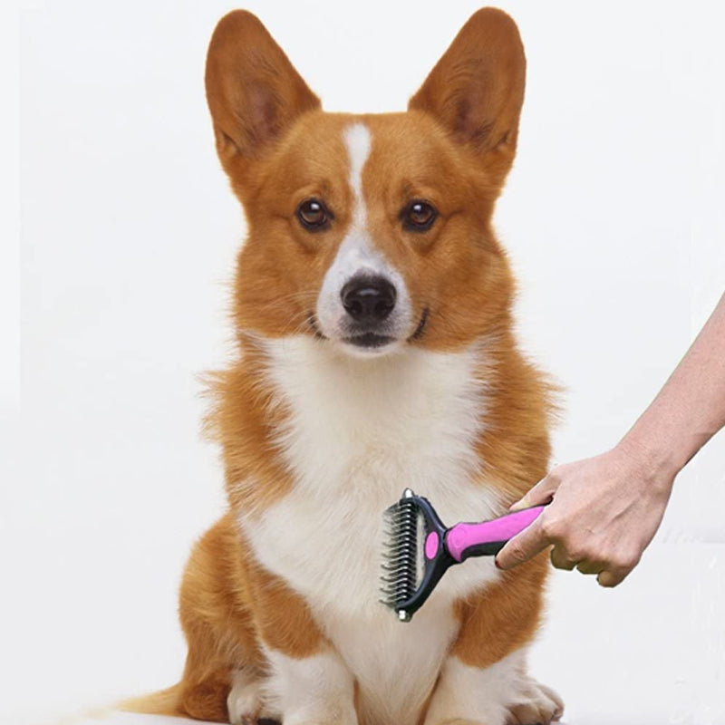 Brosse de toilettage pour animaux